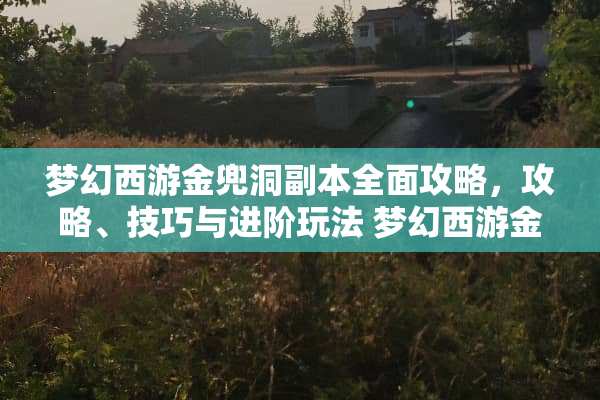 梦幻西游金兜洞副本全面攻略，攻略、技巧与进阶玩法 梦幻西游金兜洞副本攻略