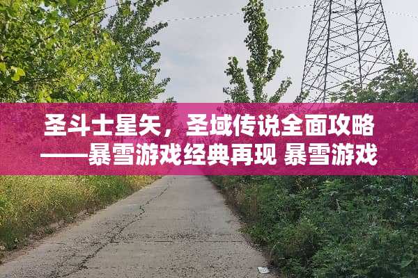 圣斗士星矢，圣域传说全面攻略——暴雪游戏经典再现 暴雪游戏圣斗士攻略