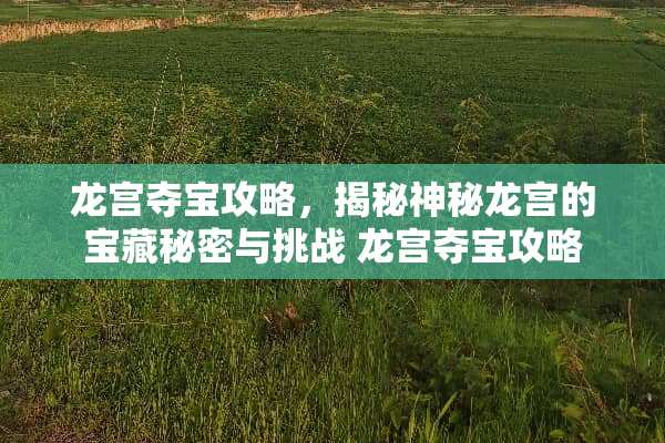 龙宫夺宝攻略，揭秘神秘龙宫的宝藏秘密与挑战 龙宫夺宝攻略