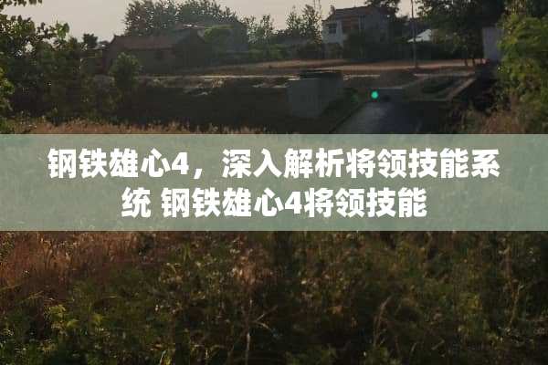 钢铁雄心4，深入解析将领技能系统 钢铁雄心4将领技能