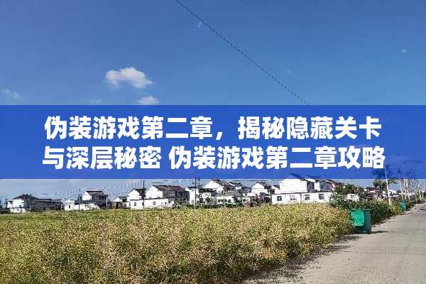 伪装游戏第二章，揭秘隐藏关卡与深层秘密 伪装游戏第二章攻略