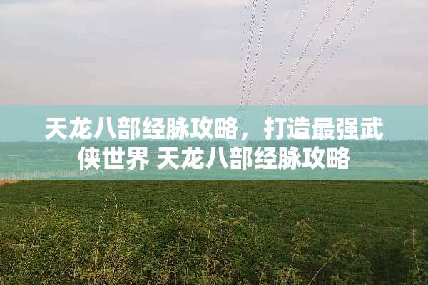 天龙八部经脉攻略，打造最强武侠世界 天龙八部经脉攻略