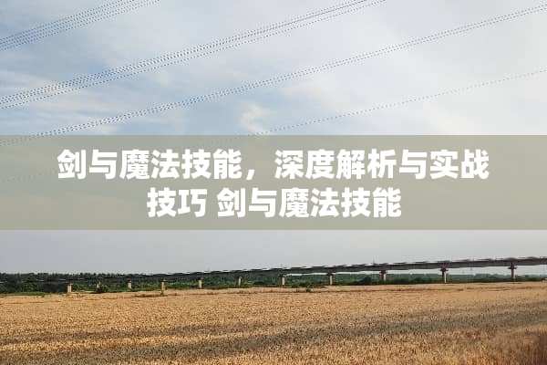 剑与魔法技能，深度解析与实战技巧 剑与魔法技能
