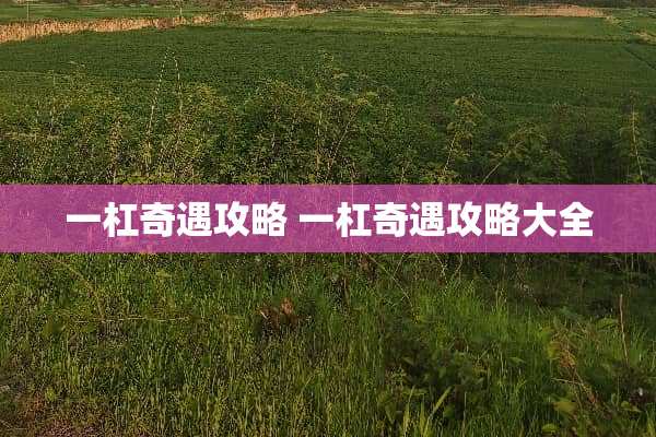 一杠奇遇攻略 一杠奇遇攻略大全