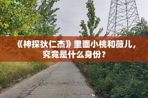 《神探狄仁杰》里面小桃和薇儿，究竟是什么身份？