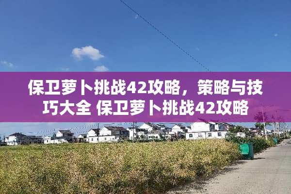 保卫萝卜挑战42攻略，策略与技巧大全 保卫萝卜挑战42攻略