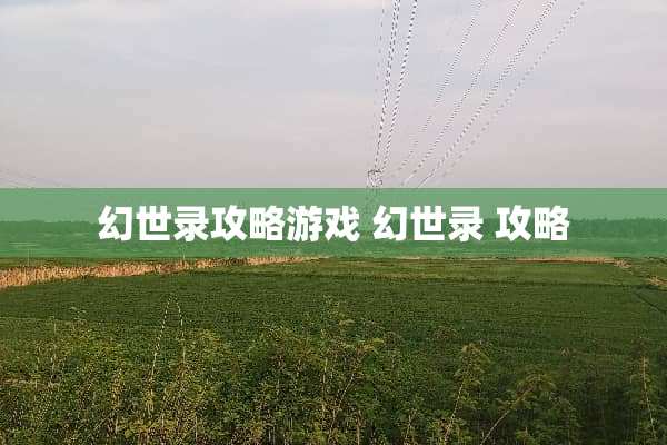 幻世录攻略游戏 幻世录 攻略