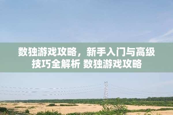 数独游戏攻略，新手入门与高级技巧全解析 数独游戏攻略