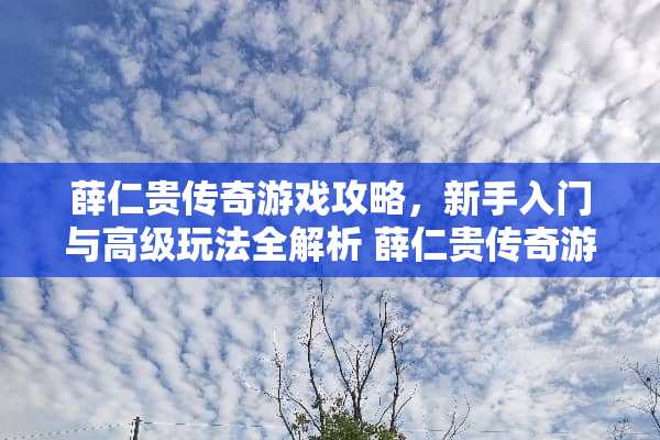 薛仁贵传奇游戏攻略，新手入门与高级玩法全解析 薛仁贵传奇游戏攻略