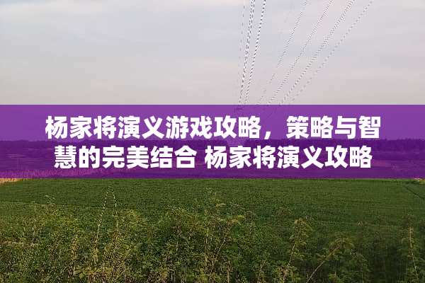 杨家将演义游戏攻略，策略与智慧的完美结合 杨家将演义攻略