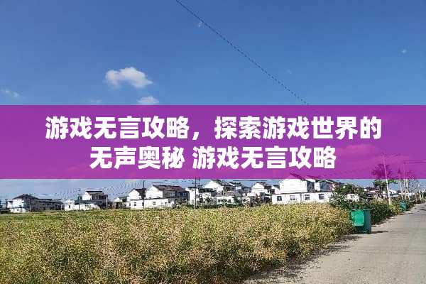 游戏无言攻略，探索游戏世界的无声奥秘 游戏无言攻略