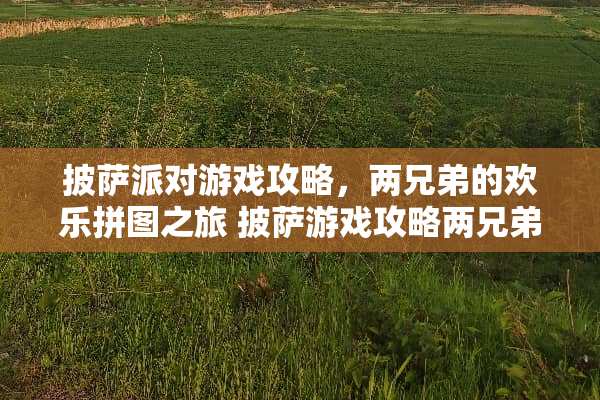 披萨派对游戏攻略，两兄弟的欢乐拼图之旅 披萨游戏攻略两兄弟