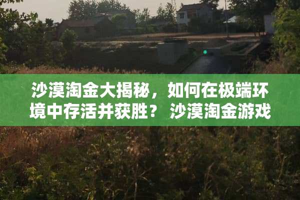 沙漠淘金大揭秘，如何在极端环境中存活并获胜？ 沙漠淘金游戏攻略
