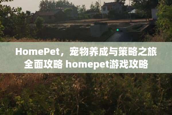 HomePet，宠物养成与策略之旅全面攻略 homepet游戏攻略