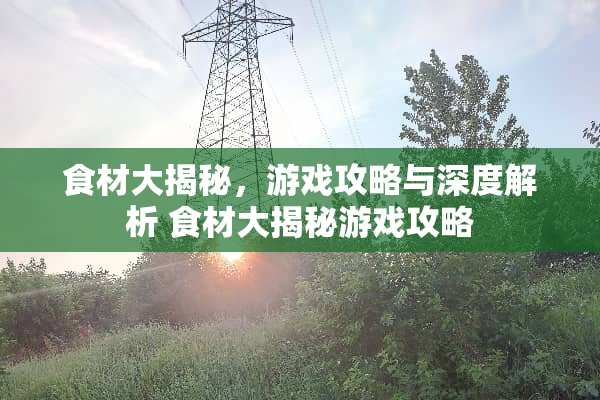 食材大揭秘，游戏攻略与深度解析 食材大揭秘游戏攻略