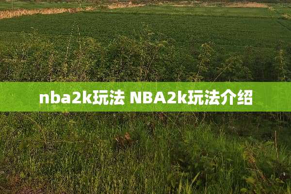 nba2k玩法 NBA2k玩法介绍