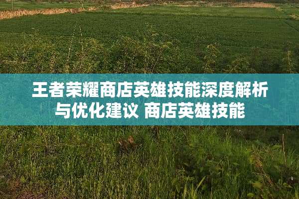 王者荣耀商店英雄技能深度解析与优化建议 商店英雄技能