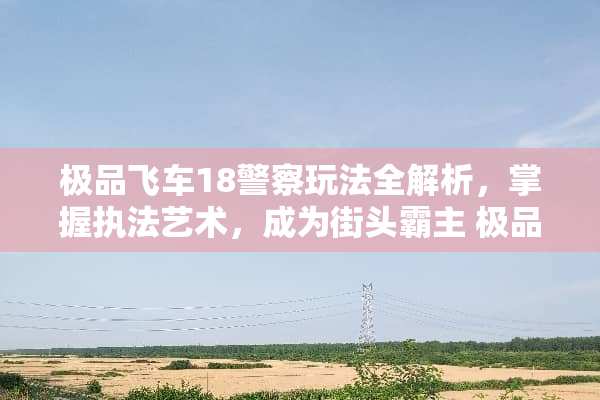 极品飞车18警察玩法全解析，掌握执法艺术，成为街头霸主 极品飞车18警察玩法