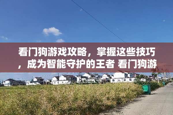 看门狗游戏攻略，掌握这些技巧，成为智能守护的王者 看门狗游戏攻略