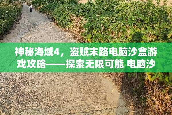 神秘海域4，盗贼末路电脑沙盒游戏攻略——探索无限可能 电脑沙盒游戏攻略