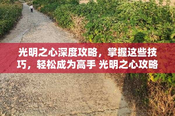 光明之心深度攻略，掌握这些技巧，轻松成为高手 光明之心攻略