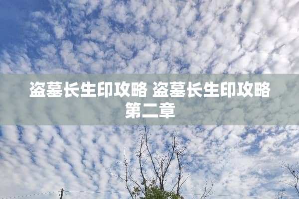 盗墓长生印攻略 盗墓长生印攻略第二章