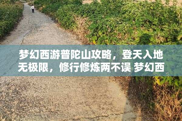 梦幻西游普陀山攻略，登天入地无极限，修行**两不误 梦幻西游普陀山攻略