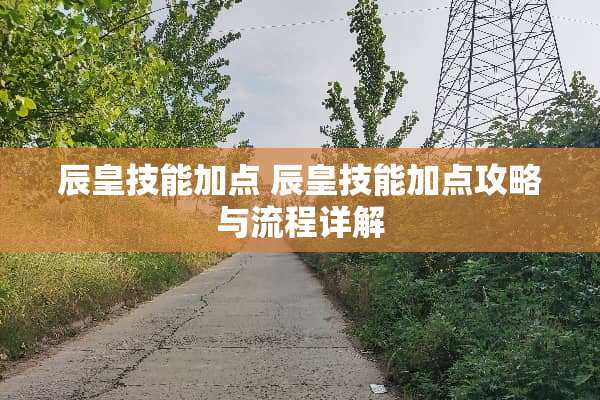 辰皇技能加点 辰皇技能加点攻略与流程详解