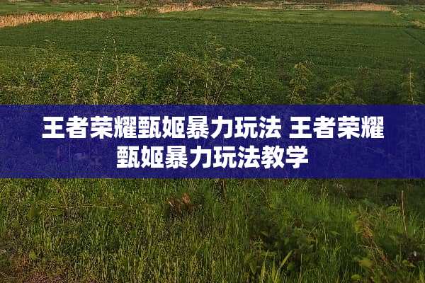 王者荣耀甄姬**玩法 王者荣耀甄姬**玩法教学