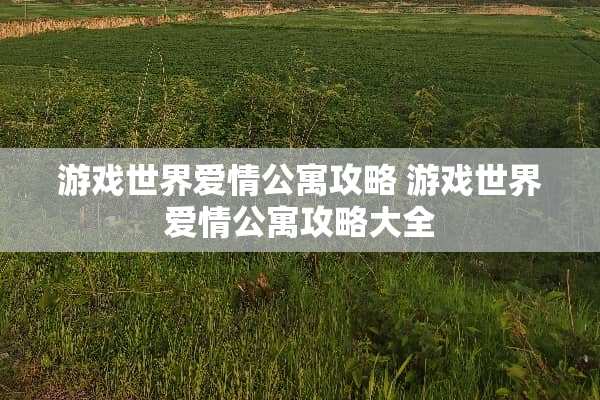 游戏世界爱情公寓攻略 游戏世界爱情公寓攻略大全