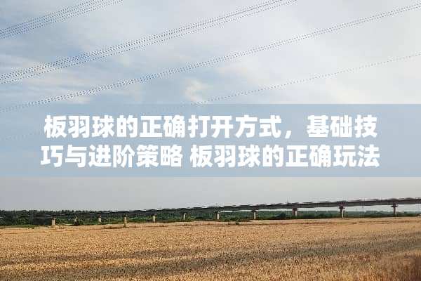 板羽球的正确打开方式，基础技巧与进阶策略 板羽球的正确玩法