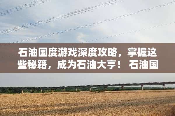石油国度游戏深度攻略，掌握这些秘籍，成为石油大亨！ 石油国度游戏攻略
