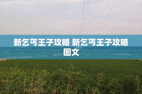 新乞丐王子攻略 新乞丐王子攻略图文