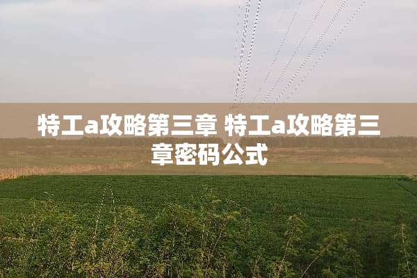 特工a攻略第三章 特工a攻略第三章密码公式