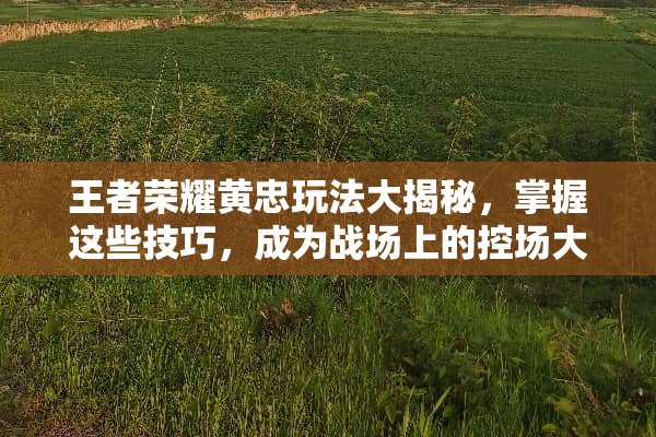 王者荣耀黄忠玩法大揭秘，掌握这些技巧，成为战场上的控场大师！ 王者荣耀黄忠玩法