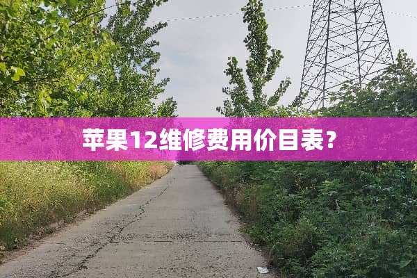 苹果12维修费用价目表？