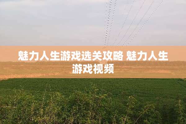 魅力人生游戏选关攻略 魅力人生游戏视频
