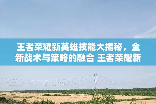 王者荣耀新英雄技能大揭秘，全新战术与策略的融合 王者荣耀新英雄技能介绍