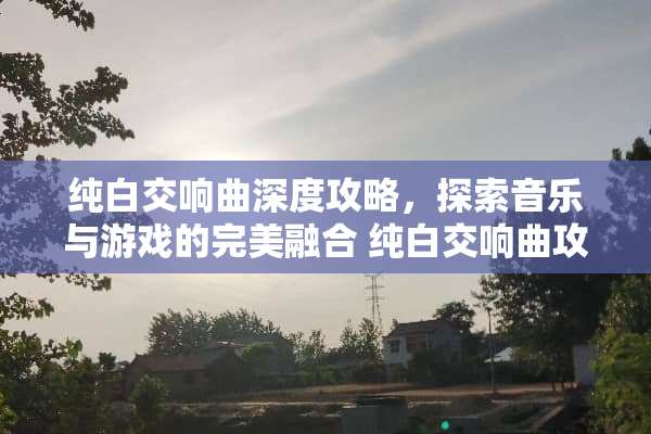 纯白交响曲深度攻略，探索音乐与游戏的完美融合 纯白交响曲攻略