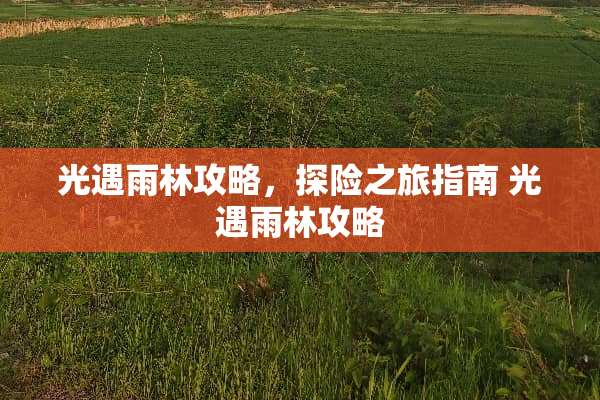 光遇雨林攻略，探险之旅指南 光遇雨林攻略
