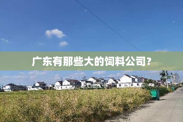 广东有那些大的饲料公司？