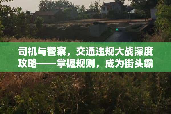 司机与**，交通违规大战深度攻略——掌握规则，成为街头霸主 司机与**游戏攻略