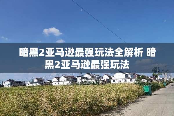 暗黑2亚马逊最强玩法全解析 暗黑2亚马逊最强玩法