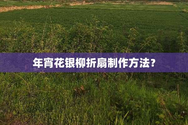 年宵花银柳折扇制作方法？