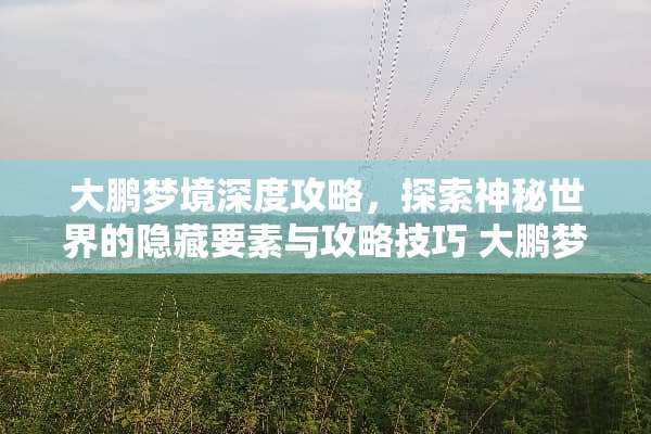 大鹏梦境深度攻略，探索神秘世界的隐藏要素与攻略技巧 大鹏梦境攻略游戏