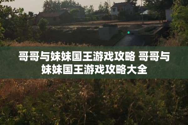 哥哥与妹妹国王游戏攻略 哥哥与妹妹国王游戏攻略大全