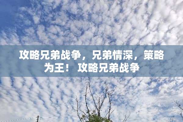 攻略兄弟战争，兄弟情深，策略为王！ 攻略兄弟战争