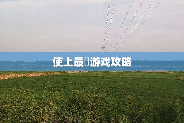 使上最囧游戏攻略