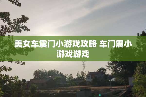 **车震门小游戏攻略 车门震小游戏游戏