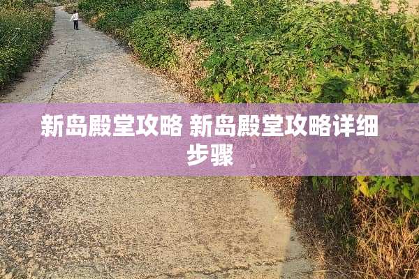 新岛殿堂攻略 新岛殿堂攻略详细步骤